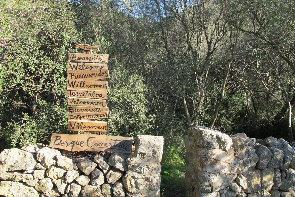 اسبورليس Agroturismo Can Torna Ag178 المظهر الخارجي الصورة
