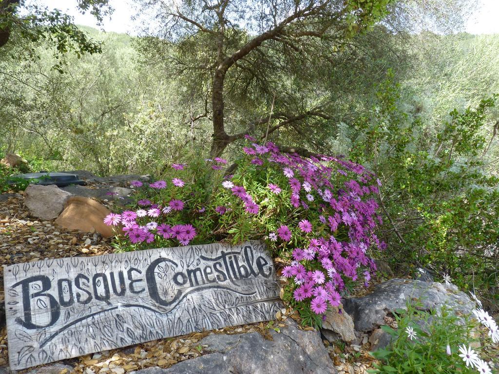 اسبورليس Agroturismo Can Torna Ag178 المظهر الخارجي الصورة